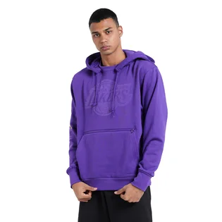 Худи мужское Nike Nba Los Angeles Lakers Violet DB1526-504