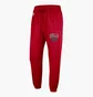 Штаны мужские Nike Nba Dri-Fit Chicago Bulls Red DB0780-657