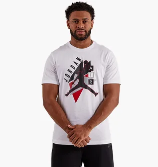 Футболка мужская Air Jordan Graphic Tee White FD7031-100