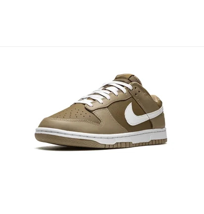 Кроссовки мужские Nike Dunk Low Retro Brown DJ6188-200