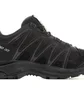 Кроссовки мужские Salomon Xa Pro 3D Gtx Black 393322