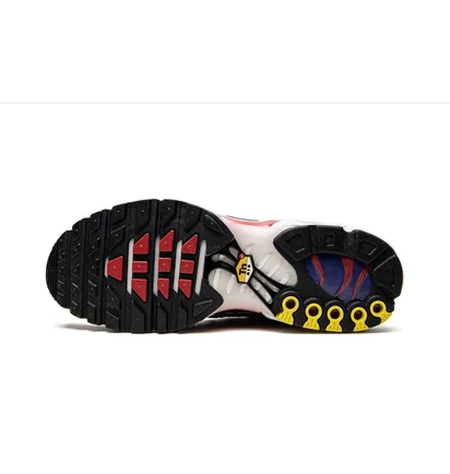 Кросівки чоловічі Nike Air Max Plus White/Grey DM0032-002