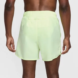 Шорты мужские Nike Dri-Fit Green DV9363-701
