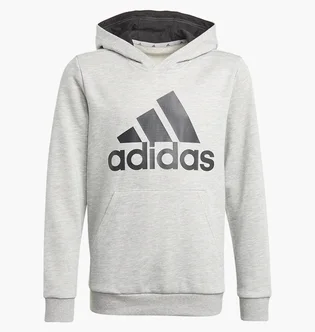 Худі дитяче Adidas Essentials Sportswear Grey GN4019