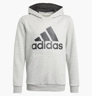 Худи детское Adidas Essentials Sportswear Grey GN4019