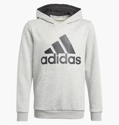 Худи детское Adidas Essentials Sportswear Grey GN4019