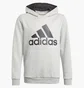 Худи детское Adidas Essentials Sportswear Grey GN4019