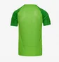 Футболка мужская Nike Dri-Fit Academy Pro Ss Top Green DH9225-329