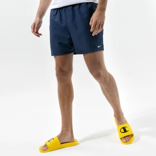 Шорты мужские Nike Swim Essential 5 Blue NESSA560-440