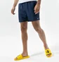 Шорты мужские Nike Swim Essential 5 Blue NESSA560-440