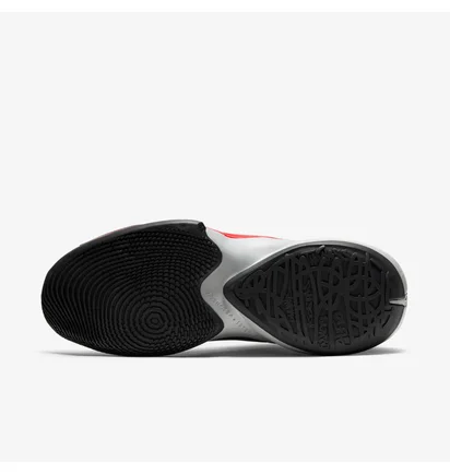 Кроссовки мужские Nike Zoom Freak 2 Multi CK5424-003