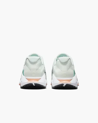 Кросівки жіночі Nike Womens Endurance Class Shoes Grey CK9406-338