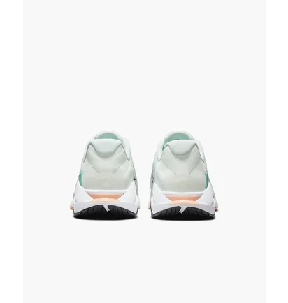 Кросівки жіночі Nike Womens Endurance Class Shoes Grey CK9406-338
