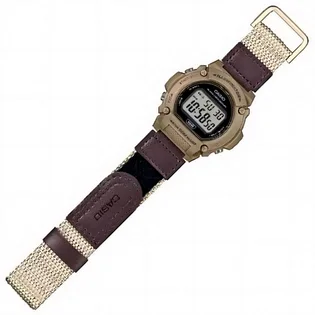 Часы мужские Casio W-219HB-5A