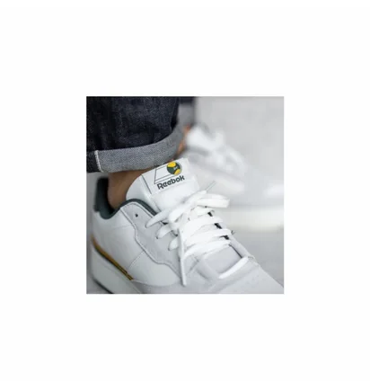 Кросівки чоловічі Reebok Dual Court Beige EG6018