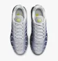 Кросівки чоловічі Nike Air Max Plus Grey/Violet FZ4622-001