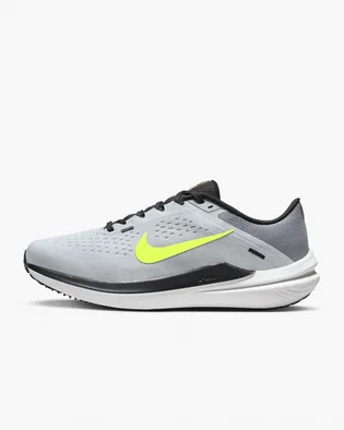Кроссовки мужские Nike Winflo 10 Road Running Shoes Grey DV4022-007