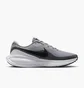 Кросівки чоловічі Nike Revolution 8 Grey HJ9198-004