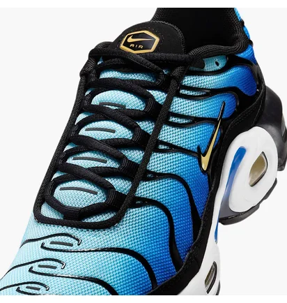 Кроссовки детские Nike Air Max Plus Blue CD0609-032