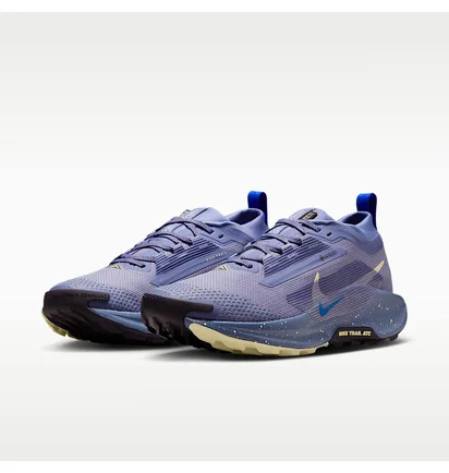 Кроссовки женские Nike W Pegasus Trail 5 Gtx Blue FQ0912-402