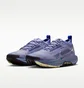 Кроссовки женские Nike W Pegasus Trail 5 Gtx Blue FQ0912-402