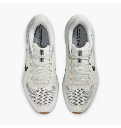 Кросівки чоловічі Nike Air Zoom Pegasus Beige FD2722-113