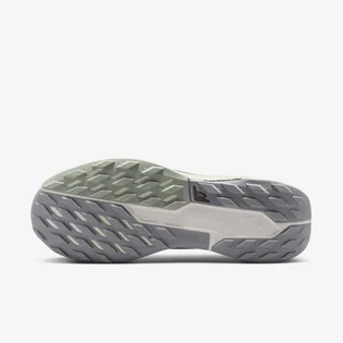 Кроссовки мужские Nike Pegasus Trail 5 Gtx Grey FQ0908-006