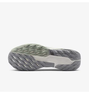 Кроссовки мужские Nike Pegasus Trail 5 Gtx Grey FQ0908-006