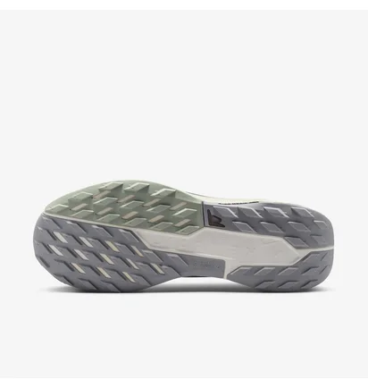 Кроссовки мужские Nike Pegasus Trail 5 Gtx Grey FQ0908-006