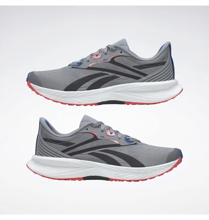 Кросівки чоловічі Reebok Floatride Energy 5 Grey GY0073