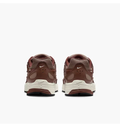 Кросівки жіночі Nike P-6000 Brown BV1021-200