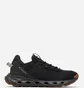 Кроссовки мужские Columbia Terrastride Aro™ Black 2115301-010