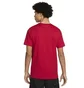 Футболка чоловіча Air Jordan The Shoes Red DH8952-687