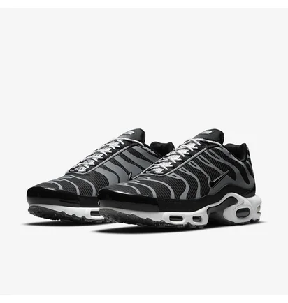 Кроссовки мужские Nike Air Max Plus Black DM2466-001