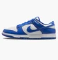 Кросівки чоловічі Nike Dunk Low Blue/White HF5441-112