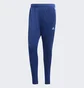 Штани чоловічі Adidas Tiro Pants Blue Hs7489