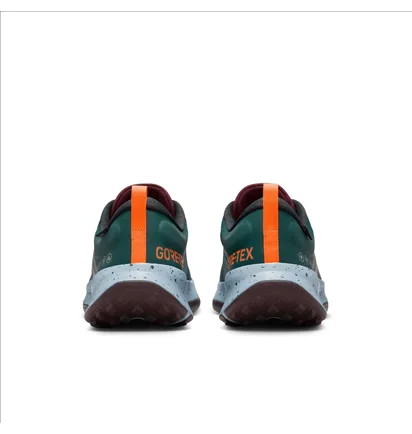 Кросівки чоловічі Nike Juniper Trail 2 Gore-Tex Turquoise FB2067-300