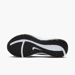 Кросівки жіночі Nike Downshifter 13 Light Blue FD6476-401