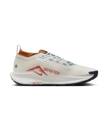 Кроссовки мужские Nike Pegasus Trail 5 Gore-Tex Beige FQ0908-003