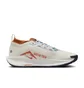 Кроссовки мужские Nike Pegasus Trail 5 Gore-Tex Beige FQ0908-003