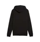 Толстовка мужская Puma Ess Small Logo Full-Zip Black 682592-01