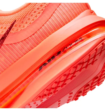 Кросівки жіночі Nike Pegasus Red HQ2593-802