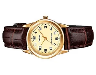 Часы женские Casio Timeless Collection LTP-V001GL-9BUDF