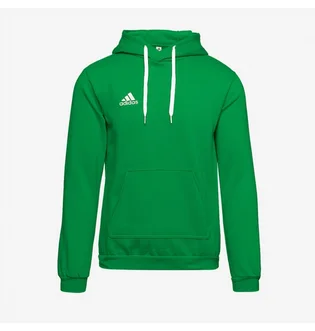 Худі чоловіче Adidas Entrada 22 Pullover Hoody Green HI2141