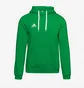Худи мужское Adidas Entrada 22 Pullover Hoody Green HI2141