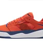 Кросівки чоловічі Nike Sb Ishod Prm Orange DZ5648-800