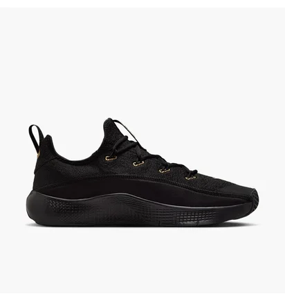 Кроссовки мужские Nike Lebron Tr1 Black FJ6151-004