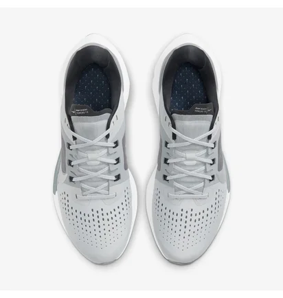 Кросівки чоловічі Nike Air Zoom Vomero 15 Grey CU1855-003