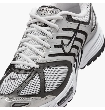 Кросівки чоловічі Nike Air Pegasus 2005 Metallic HQ3031-002