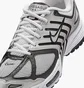 Кросівки чоловічі Nike Air Pegasus 2005 Metallic HQ3031-002